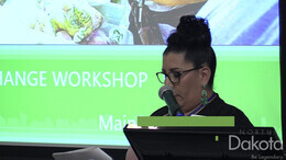 MultiStatePlacemaking_ArtsInPlacemaking.mp4